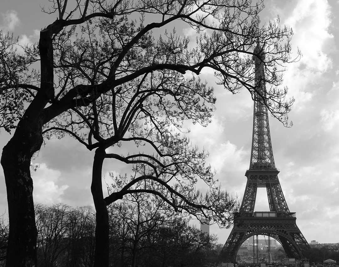 MyFrenchLife™ – MyFrenchLife.org - Paris in February - 2017 - whats on - Eiffel Tower - Paris in Winter