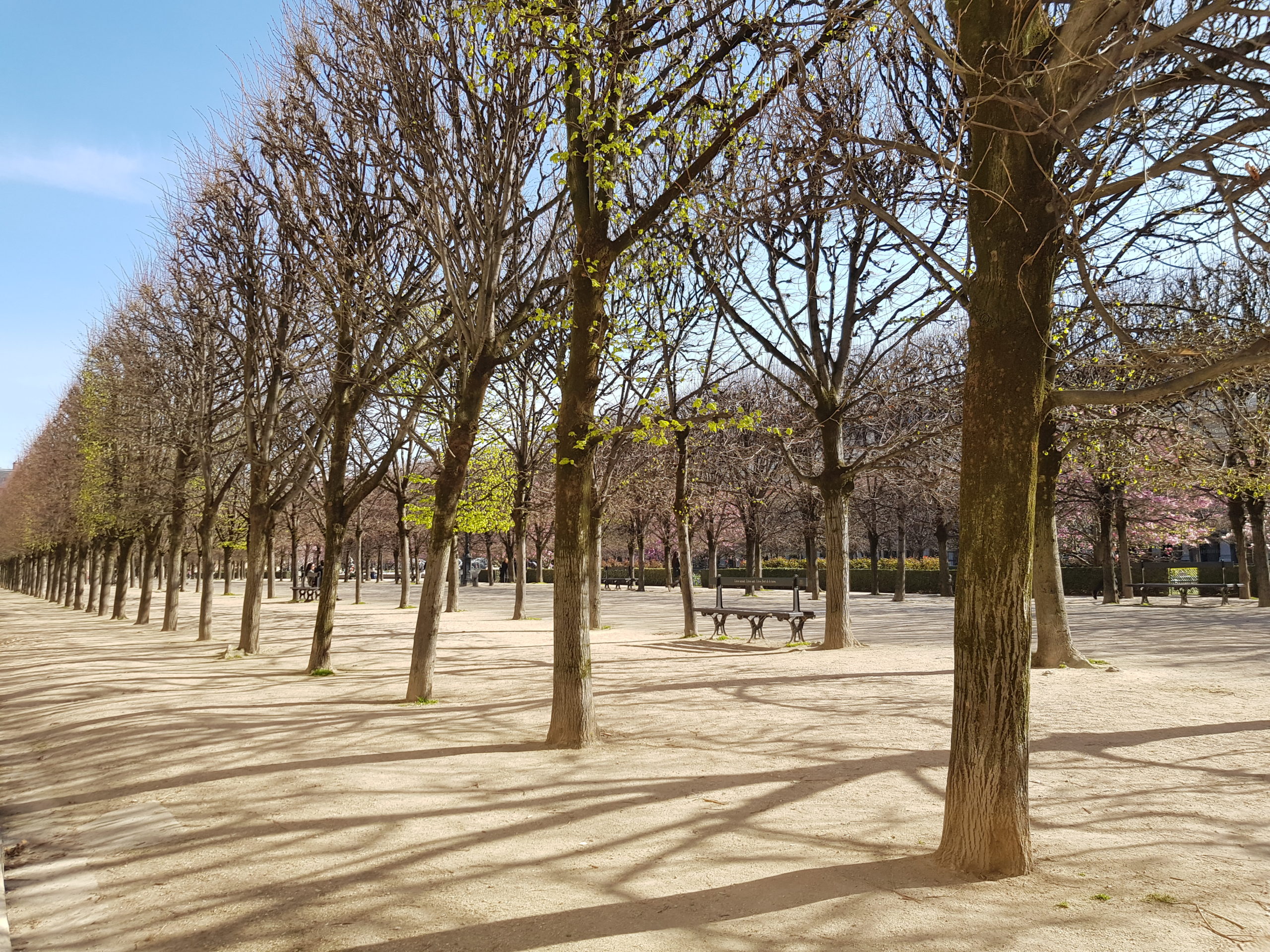 Palais-Royal - Poetry - MyFrenchLife.org
