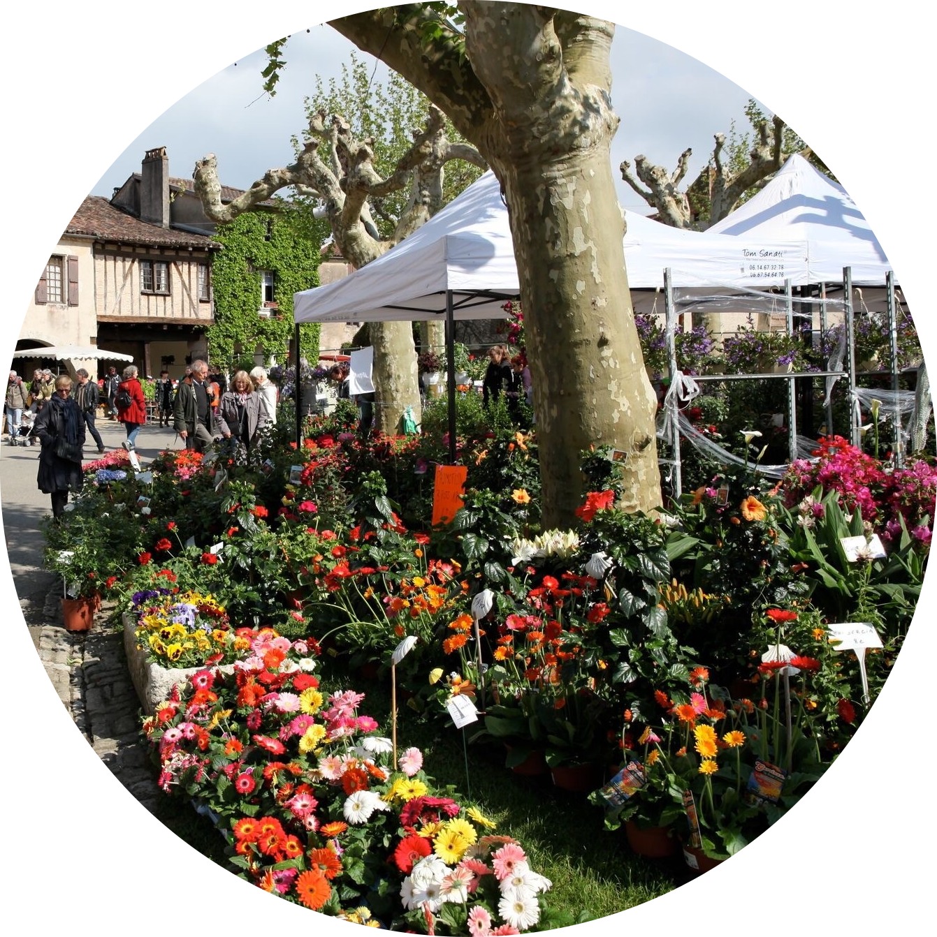 MyFrenchLife™ – MyFrenchLife.org – Fources flower festival – Fourcès – Gascony – April