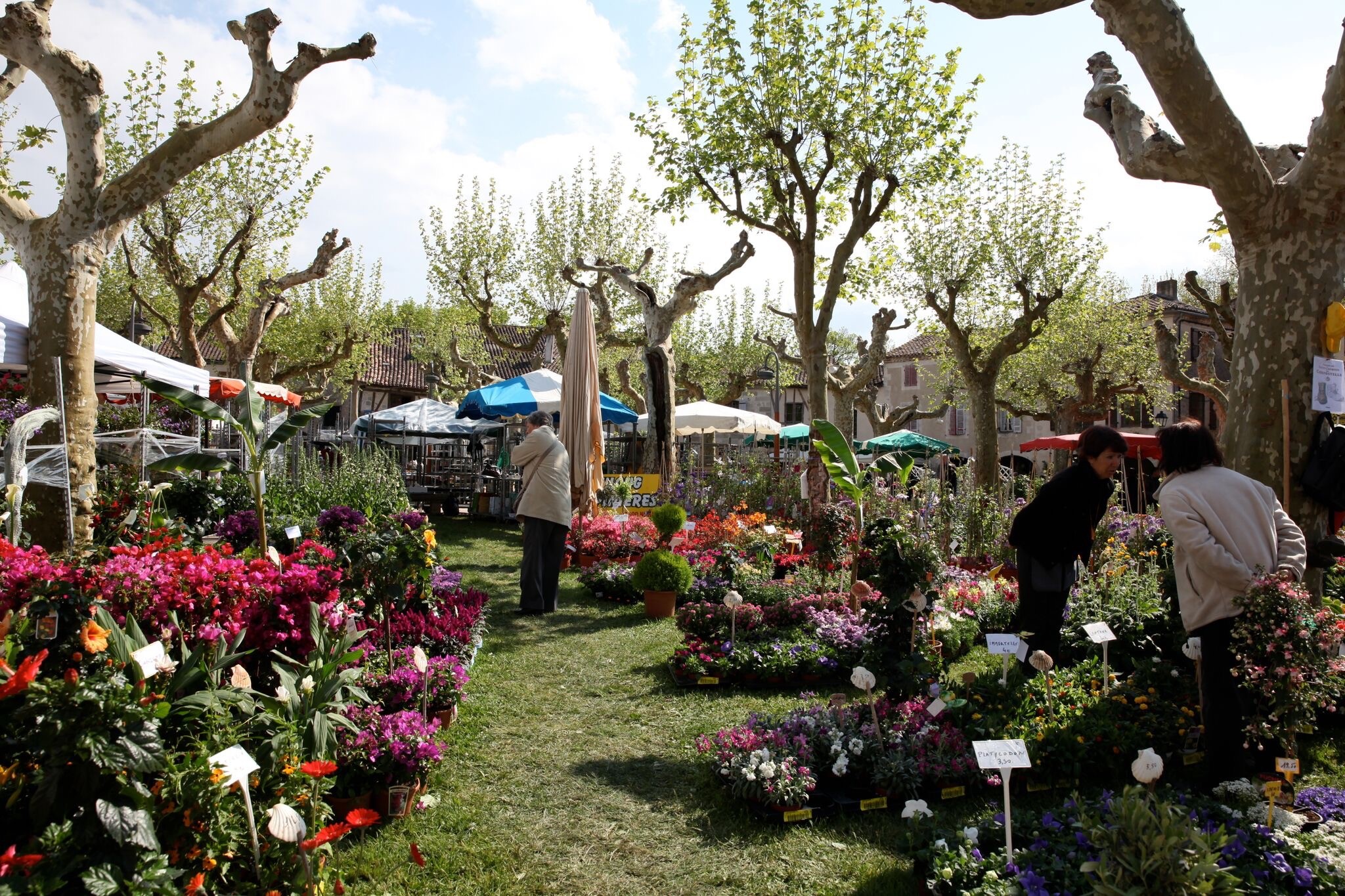 MyFrenchLife™ – MyFrenchLife.org – Fources flower festival – Fourcès – Gascony – April