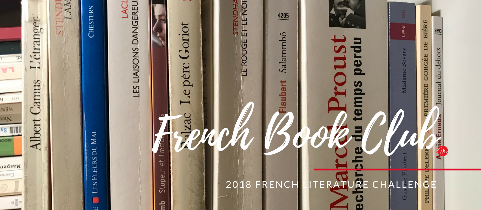 MyFrenchLife™ – MyFrenchLife.org – MyFrenchLife™ book club: March literature challenge – Gustave Flaubert, Madame Bovary