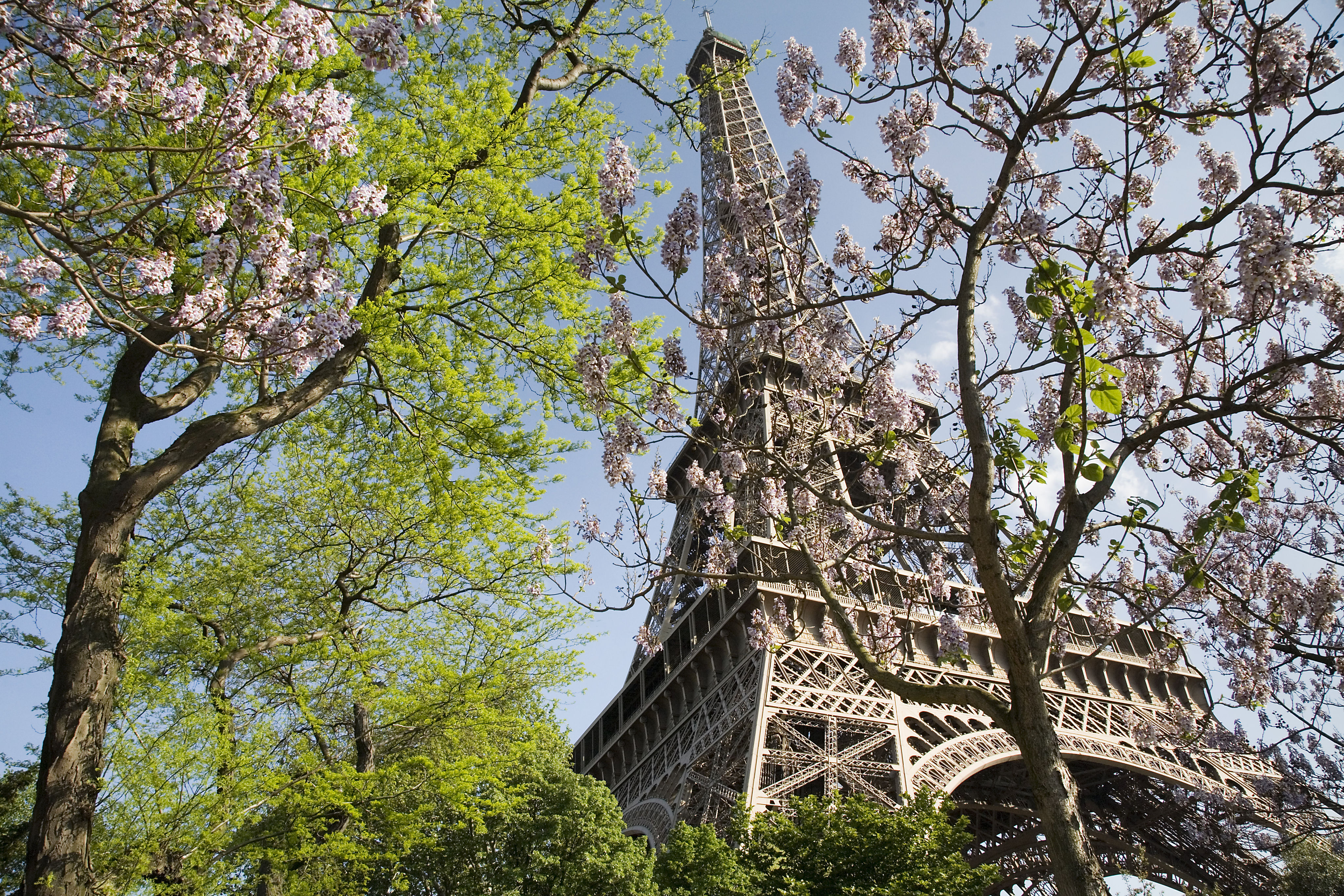 MyFrenchLife™-Paris in March-The_Eiffel_Tower