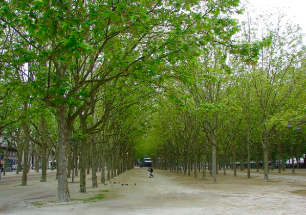Biking in Bordeaux: COVID spurs urban greening