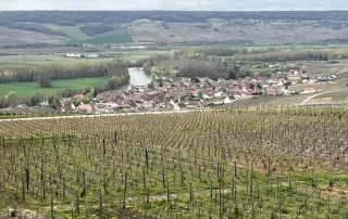 France Off the Beaten Path: View from Hautvillers Senlis to Epernay