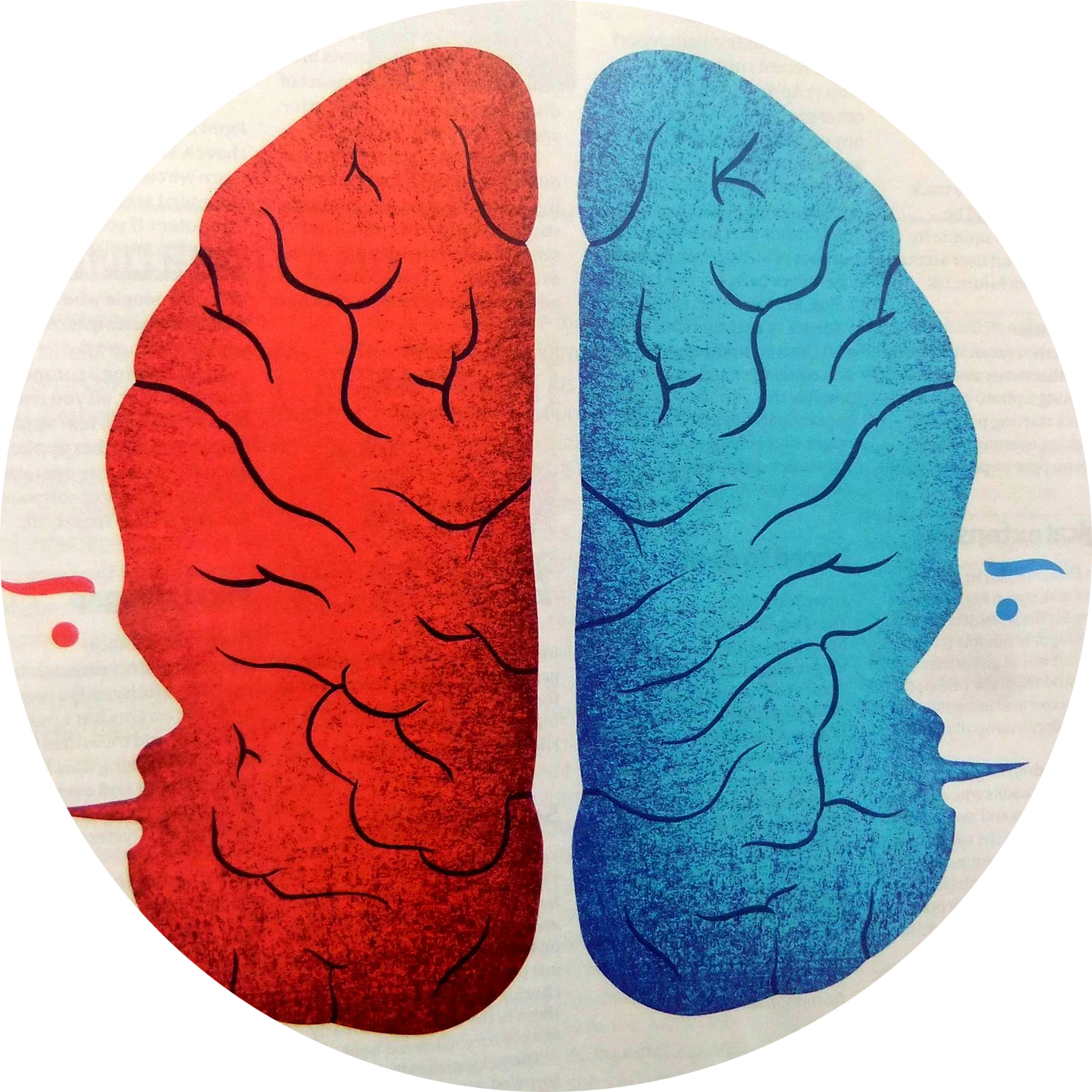 1 brain for 2. Полушария мозга. Восприятие мозга. Левое полушарие мозга. Правое полушарие.