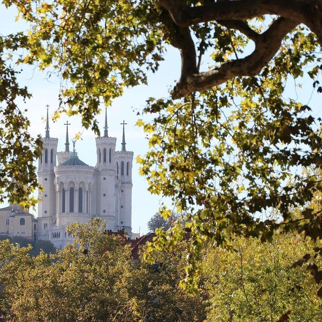 ‘MyFrenchLife™ ‘MyFrenchLife™ - ultimate guide to lyon - trees